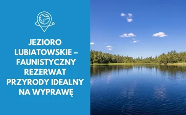 Jezioro Lubiatowskie faunistyczny rezerwat przyrody idealny na wyprawę