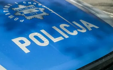 Kilka minut w rozgrzanym aucie może skończyć się tragedią